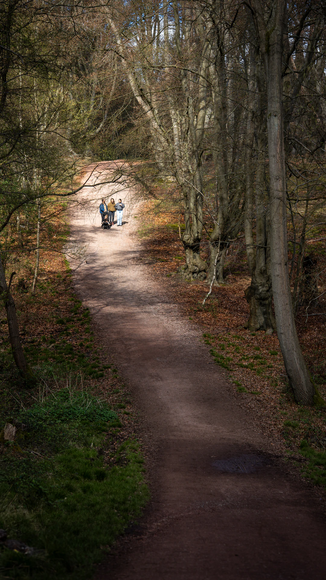 Two people walk up a wooded path in autumn.